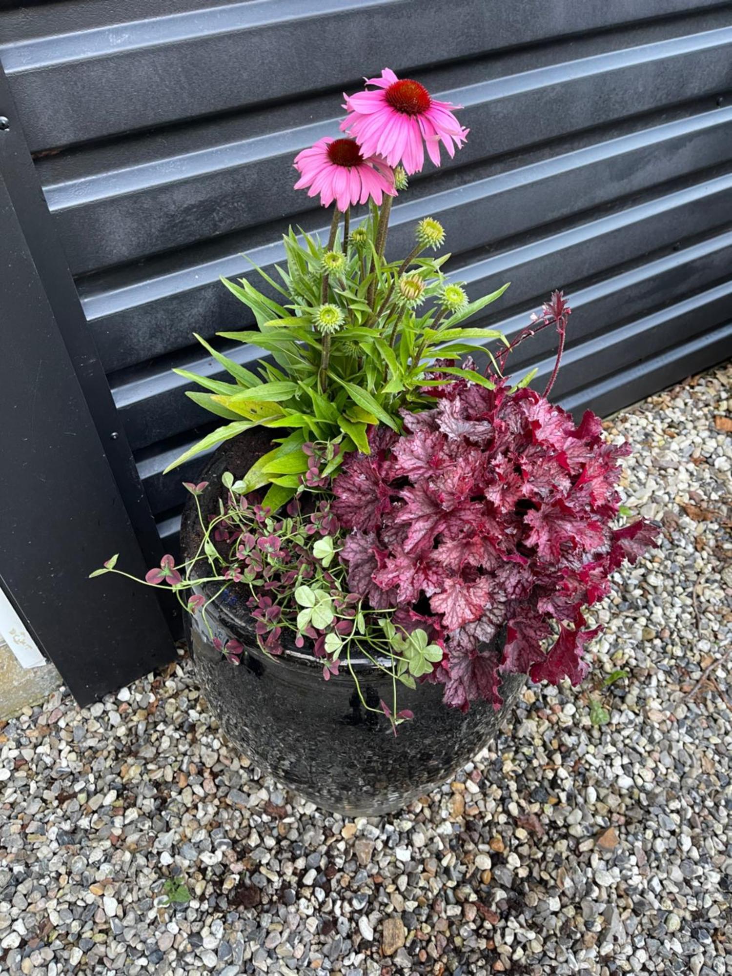 B&B Stald Saga Herning Exterior foto